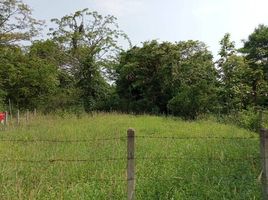  Land for sale in Dong Chen, Phu Kamyao, Dong Chen