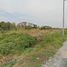  Land for sale in Airport Rail Link Station, Bangkok, Lam Pla Thio, Lat Krabang, Bangkok