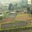  Land for sale in Bali, Sukasada, Buleleng, Bali