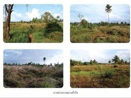  Grundstück zu verkaufen in Takua Pa, Phangnga, Bang Muang, Takua Pa, Phangnga