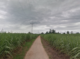  Land for sale in Mueang Kamphaeng Phet, Kamphaeng Phet, Nai Mueang, Mueang Kamphaeng Phet