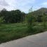  Land for sale in Surat Thani, Bo Phut, Koh Samui, Surat Thani