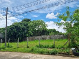  Land for sale in Peranakannitat Museum, Talat Yai, Talat Yai