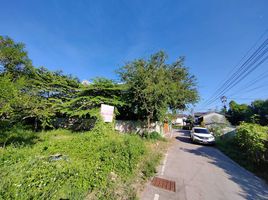  Land for sale in Han Teung Chiang Mai ( @Chiang Mai ), Suthep, Suthep