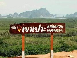  Land for sale in Phangnga, Krasom, Takua Thung, Phangnga