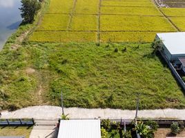  Land for sale in San Pu Loei, Doi Saket, San Pu Loei