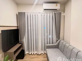 Studio Wohnung zu vermieten im S47 Sukhumvit, Khlong Tan Nuea, Watthana, Bangkok