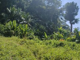  Земельный участок for sale in Mueang Krabi Краби, Ao Nang