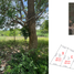  Land for sale in Sam Roi Yot, Sam Roi Yot, Sam Roi Yot