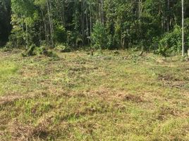  Land for sale in Belem, Para, Belem