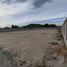  Land for sale in Huai Yai, Pattaya, Huai Yai
