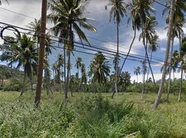  Grundstück zu verkaufen in Koh Samui, Surat Thani, Maenam