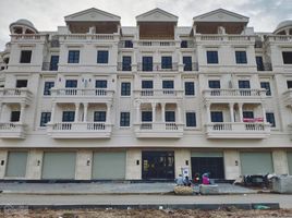 8 Schlafzimmer Haus zu verkaufen in Go vap, Ho Chi Minh City, Ward 10