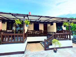 4 Bedroom Hotel for sale in Mae Hong Son, Wiang Tai, Pai, Mae Hong Son