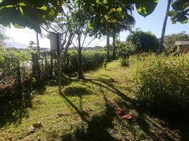  Grundstück zu verkaufen in Orotina, Alajuela, Orotina