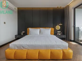 1 Bedroom House for rent in An Hai Bac, Da Nang, An Hai Bac, Son Tra, Da Nang