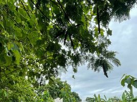  Land for sale in Phu Doi Market, Nong Chom, Nong Chom