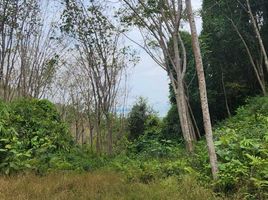  Land for sale in Lo Yung, Takua Thung, Lo Yung