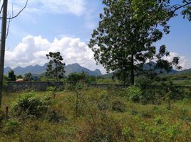 2 Schlafzimmer Haus zu verkaufen in Sam Roi Yot, Prachuap Khiri Khan, Sam Roi Yot, Sam Roi Yot, Prachuap Khiri Khan