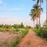  Land for sale in Wang Phong, Pran Buri, Wang Phong