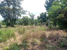  Land for sale in Si Maha Phot, Prachin Buri, Si Maha Phot, Si Maha Phot