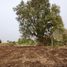  Land for sale in Chaloem Phra Kiat, Saraburi, Khao Din Phatthana, Chaloem Phra Kiat