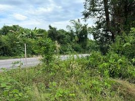  Land for sale in Khao Saming, Trat, Wang Takhian, Khao Saming