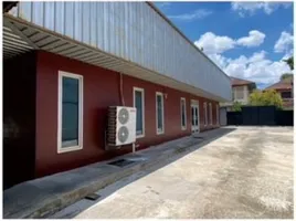  Warenhaus zu vermieten in Bang Chak, Bangkok, Bang Chak, Phra Khanong, Bangkok, Thailand