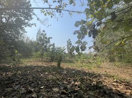  Land for sale in Prachuap Khiri Khan, Nong Phlap, Hua Hin, Prachuap Khiri Khan