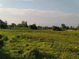  Земельный участок for sale in Mueang Kamphaeng Phet, Kamphaeng Phet, Trai Trueng, Mueang Kamphaeng Phet