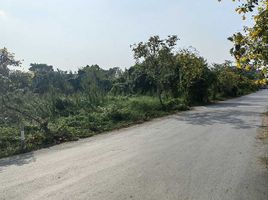  Land for sale in Lam Toiting, Nong Chok, Lam Toiting