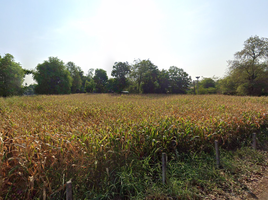  Land for sale in Suphan Buri, Doem Bang, Doem Bang Nang Buat, Suphan Buri