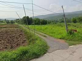  Grundstück zu verkaufen in Phu Kradueng, Loei, Si Than, Phu Kradueng, Loei