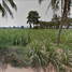  Land for sale in Don Han, Mueang Khon Kaen, Don Han