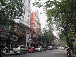 33 Bedroom House for sale in Ho Chi Minh City, Ben Thanh, District 1, Ho Chi Minh City