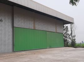  Warehouse for sale in Thailand, Wang Kai Thuean, Hankha, Chai Nat, Thailand