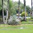 4 Bedroom House for sale in Gasan, Mimaropa, Gasan, Marinduque