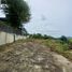  Land for sale in Chalong, Phuket Town, Chalong