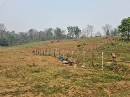  Land for sale in Chiang Mai, Mae Taeng, Mae Taeng, Chiang Mai