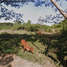  Land for sale in Ubon Ratchathani, Warin Chamrap, Warin Chamrap, Ubon Ratchathani