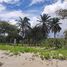  Land for sale in La Ceiba, Atlantida, La Ceiba