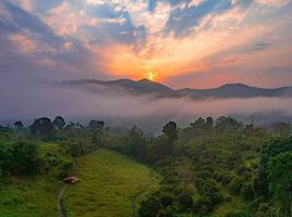 5 Schlafzimmer Hotel / Resort zu verkaufen in Mae Taeng, Chiang Mai, Mueang Kai, Mae Taeng, Chiang Mai, Thailand