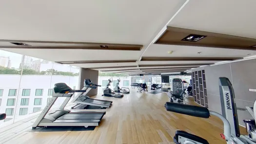 3D Walkthrough of the Gym commun at 15 Sukhumvit Residences