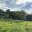  Land for sale in Mueang Phetchabun, Phetchabun, Sadiang, Mueang Phetchabun