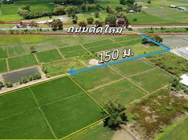  Land for sale in Rong Wua Daeng, San Kamphaeng, Rong Wua Daeng