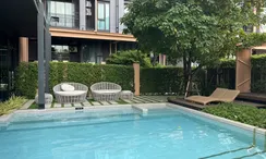 Photos 2 of the Communal Pool at Venio Sukhumvit 10