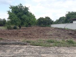  Land for sale in Laem Fa Pha, Phra Samut Chedi, Laem Fa Pha