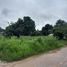  Land for sale in Chaiyaphum, Ban Lao, Mueang Chaiyaphum, Chaiyaphum