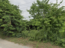  Land for sale in Suphan Buri, Tha Rahat, Mueang Suphan Buri, Suphan Buri