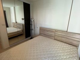 1 Schlafzimmer Appartement zu vermieten im Aspire Sukhumvit 48, Phra Khanong